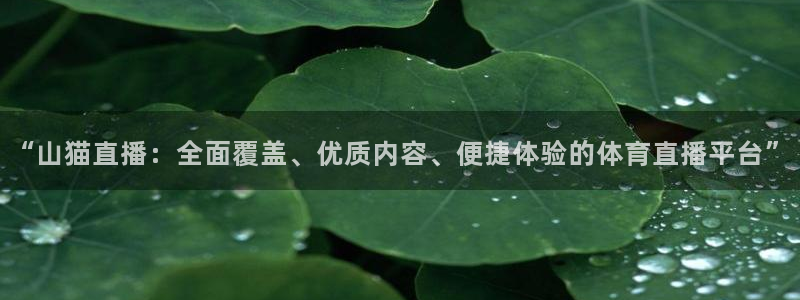 球友体育免费看nba：“山猫直播：全面覆盖、优质内容、便捷体验的体育直播平台”