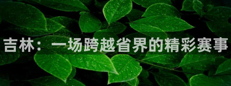 qy体育球友会：吉林：一场跨越省界的精彩赛事