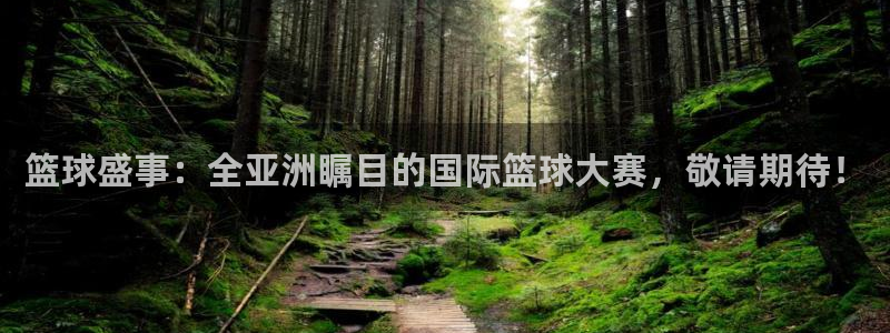 球友体育免费下载：篮球盛事：全亚洲瞩目的国际篮球大赛，敬请期待！