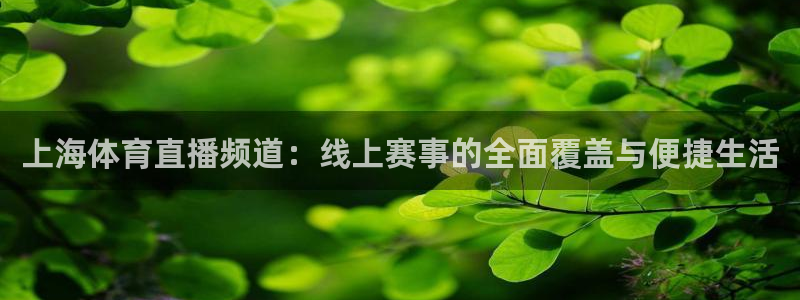 qy球友会体育网址：上海体育直播频道：线上赛事的全面覆盖与便捷生活