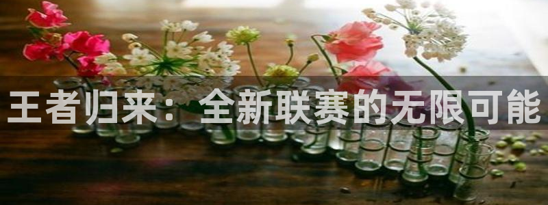 球友直播平台：王者归来：全新联赛的无限可能