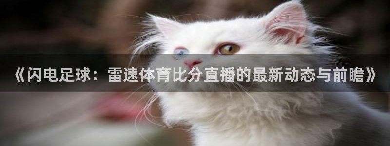 球友会体育：《闪电足球：雷速体育比分直播的最新动态与前瞻》
