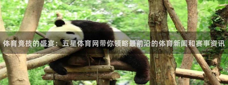 球友体育下载：体育竞技的盛宴：五星体育网带你领略最前沿的体育新闻和赛事资讯