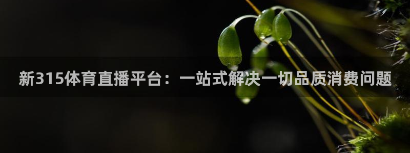qy体育球友会：新315体育直播平台：一站式解决一切品质消费问题