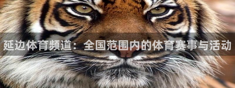 球友直播在线直播：延边体育频道：全国范围内的体育赛事与活动