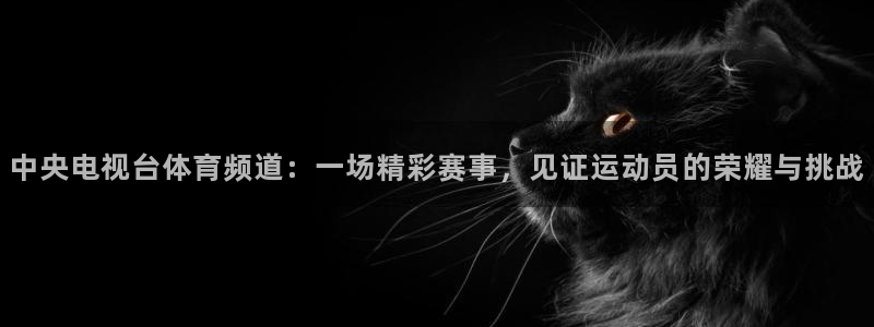 球友体育官网：中央电视台体育频道：一场精彩赛事，见证运动员的荣耀与挑战