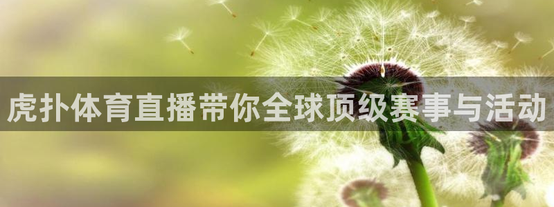 qy球友会体育官网：虎扑体育直播带你全球顶级赛事与活动