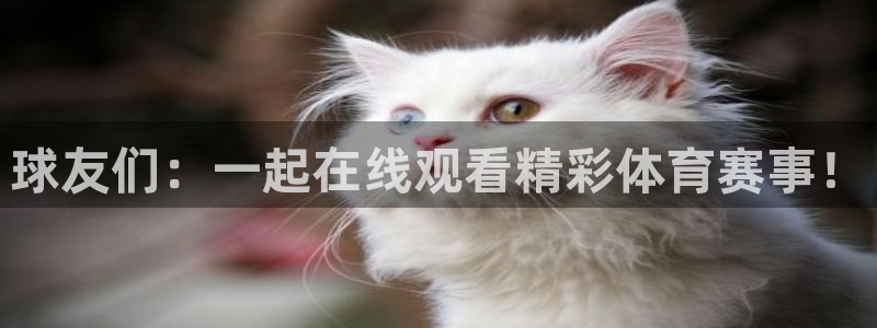 球友直播app：球友们：一起在线观看精彩体育赛事！
