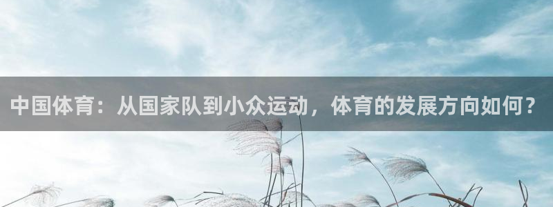 球友直播-足球篮球体育直播平台：中国体育：从国家队到小众运动，体育的发展方向如何？