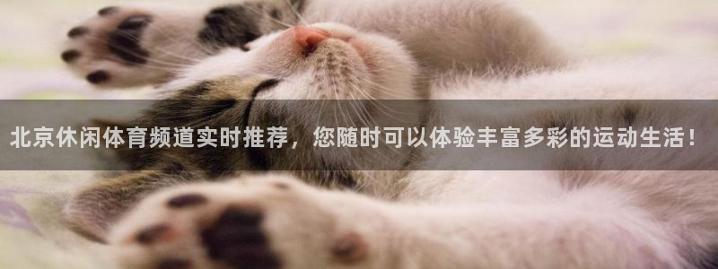 球友直播nba：北京休闲体育频道实时推荐，您随时可以体验丰富多彩的运动生活！