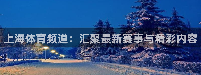 球友体育在线直播观看：上海体育频道：汇聚最新赛事与精彩内容