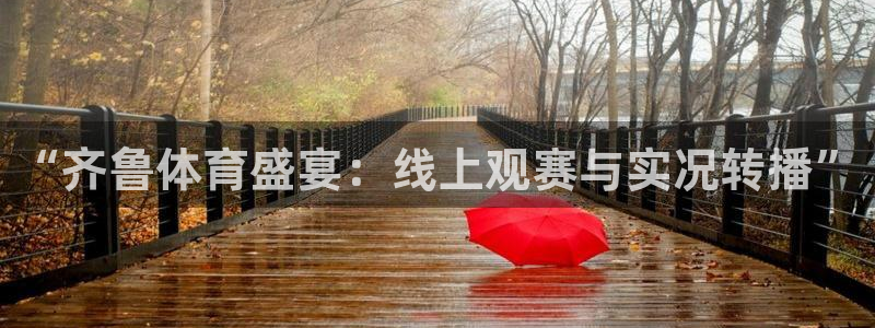 球友nba直播：“齐鲁体育盛宴：线上观赛与实况转播”